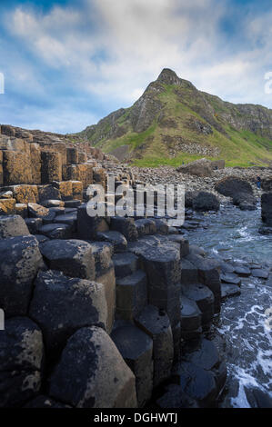 Basalt rocks, Giant Causeway, Coleraine, Northern Ireland, United Kingdom, Europe Stock Photo