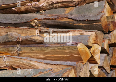 Holzstapel - stack of wood 44 Stock Photo