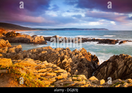 Evening light falls on the rocks of Barricane Beach in Woolacombe looking towards Baggy Point. Stock Photo