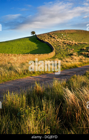 Farm track and drystone wall in the Brecon Beacons National Park. Stock Photo
