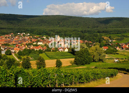 Wine village of Orschwihr along the Alsace Wine Road and Route des Vins d'Alsace, Upper Rhine, Alsace, France, Europe Stock Photo