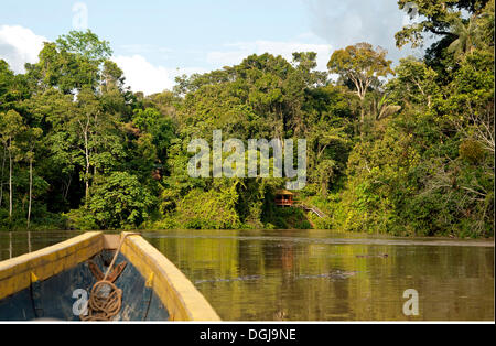 Tropical rainforest on the Tiputini river, bow, Yasuni National Park, Amazon Basin, Ecuador, South America Stock Photo