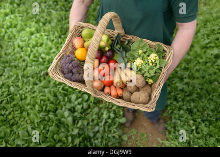 Farmer carrying organic vegetables in basket for delivery, close up