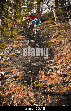 Men mountain biking through forest Stock Photo