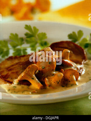 Escalope chasseur with chanterelles. Stock Photo