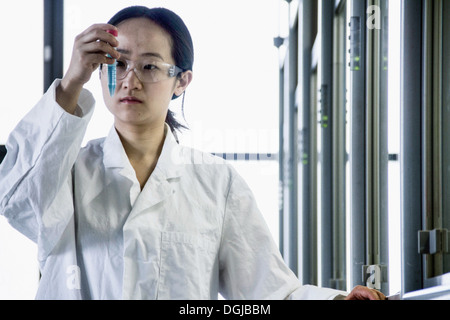 Close up of female scientist studying test tube Stock Photo