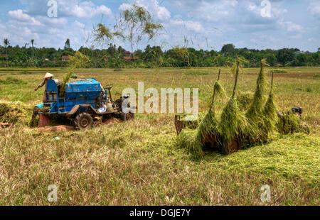 Rice straw threshing machine at work, Vietnam, Asia Stock Photo