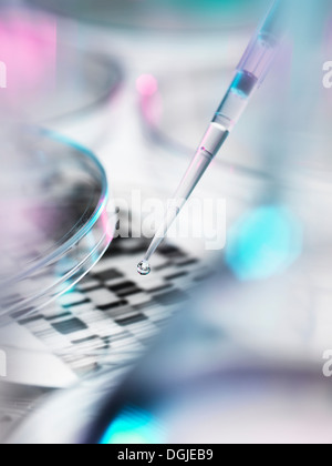 DNA sample being pipetted into petri dish with DNA gel in background Stock Photo