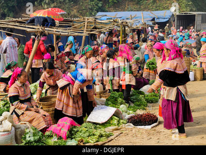 People's market, women in the costumes of the Hmong ethnic minority, Flower Hmong ethnic group, Sin Cheng, Si Ma Cai District Stock Photo