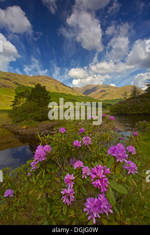 A view of Lochan Urr in Glen Etive. Stock Photo