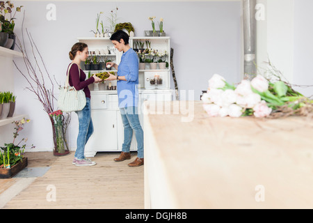 Mid adult woman and teenage girl choosing plant in florists Stock Photo