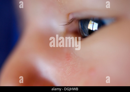 Extreme close-up of a two year baby boy's eye Model release available Stock Photo
