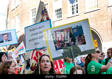 October 17th 2013. Teachers demonstrate against proposed changes to pensions. Placards with photos of Michael Gove Stock Photo