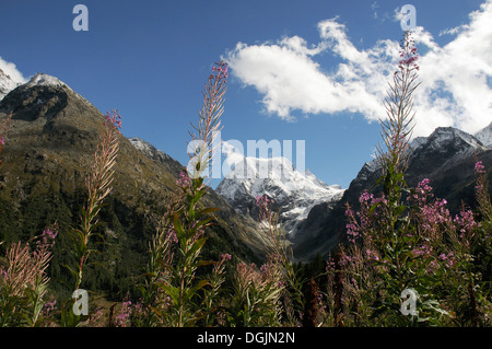 Mont Collon near Arolla in the Swiss Alps Stock Photo