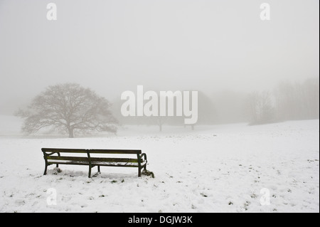 An empty bench overlooking a snow covered field. Stock Photo