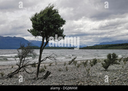 Change in the weather, rocky eastern shore of Lake Te Anau, Fiordland National Park behind, South Island, New Zealand Stock Photo