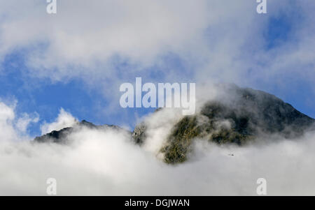 Peaks in clouds with a sightseeing helicopter, Milford Sound, Fiordland National Park, South Island, New Zealand Stock Photo