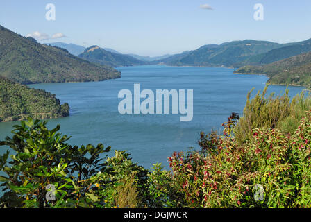 View from Cullen Point Lookout on the Pelorus Sound, Havelock, South Island, New Zealand Stock Photo