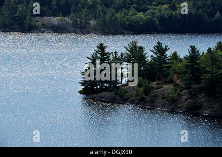 Sunlight on Charlton Lake Willisville Ontario Canada Stock Photo