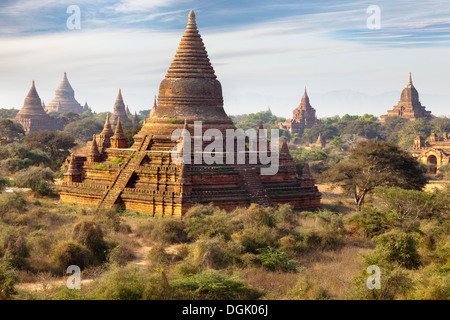 The Temples and Pagodas of Bagan in Myanmar in early morning. Stock Photo