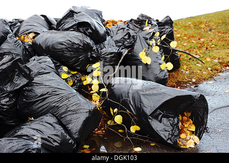 Bags with fallen leaves in the fall Stock Photo