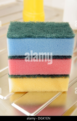 https://l450v.alamy.com/450v/dgk1en/nylon-pan-scourers-on-a-stainless-steel-drainer-dgk1en.jpg