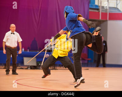 St. Petersburg, Russia. 22nd Oct, 2013. October 22, 2013, St. Petersburg. Second World Combat Games. Savate. Final Credit:  Andrew Shlykoff/Alamy Live News Stock Photo