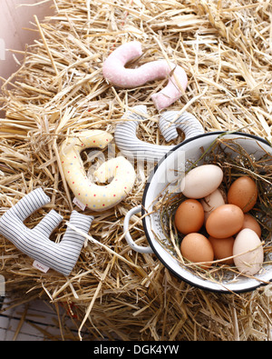 Still life of fresh organic eggs in colander Stock Photo