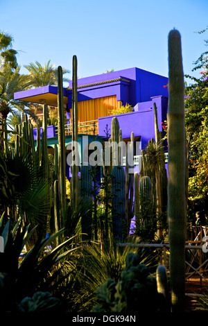 Majorelle Gardens, Marrakech, Morocco, North Africa Stock Photo