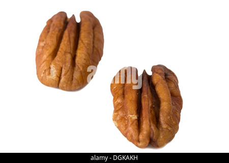 Closeup of two pecan peanuts, isolated on white background Stock Photo