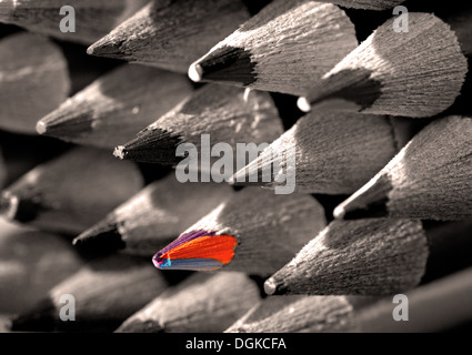 Close up of coloured pencil heads.  Black and white image with colour pop. Stock Photo