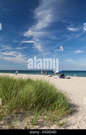 Joseph A. Sylvia state beach at Oak Bluffs. Stock Photo