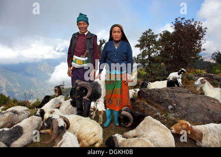 A shepherd and shepherdess with their flock. Stock Photo