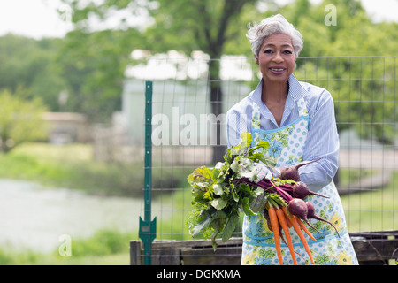 USA, New Jersey, Old Wick, Portrait of senior woman holding carrots and beetroot Stock Photo