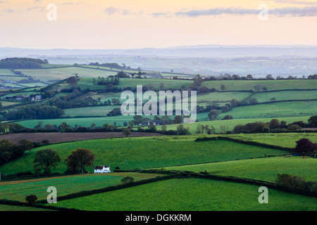 Early morning views across west Dorset from Pilson Pen hill fort which is the highest point in Dorset. Stock Photo
