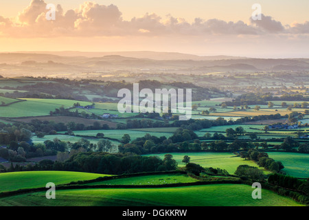 Early morning views across west Dorset from Pilson Pen hill fort which is the highest point in Dorset. Stock Photo