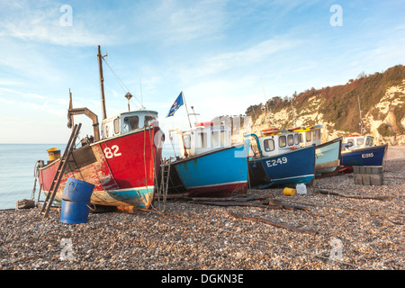 Fishing boats on a pebbly beach at Beer. Stock Photo