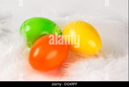 Three Easter eggs on white feathers Stock Photo
