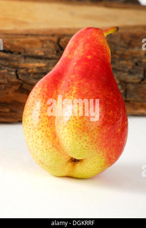 Forelle pear, Pear (Pyrus communis) Stock Photo