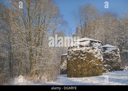 Snow-covered forest with covered piles of wood, timber industry Stock Photo