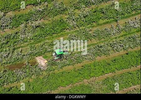 Tractor doing field work while driving through a fruit plantation in Mecklenburg Western Pomerania, Prizier, Prizier Stock Photo