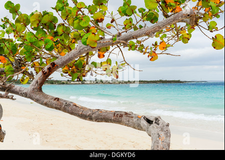 Cuba Holguin beach Stock Photo - Alamy