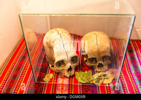 Embalmed mummy and skull in Peru. Bones at Chauchilla archeological site, Nazca, South America Stock Photo