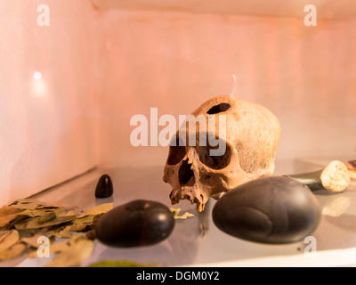 Embalmed mummy and skull in Peru. Bones at Chauchilla archeological site, Nazca, South America Stock Photo