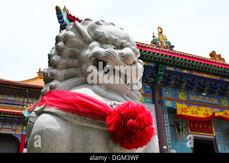 Chinese Lion Stone Sculpture in the Chinese Temple in Nonthaburi, Thailand. Stock Photo