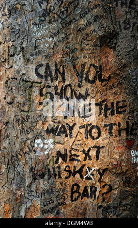 Graffiti and messages on a tree trunk near Jim Morrison's grave, Pere Lachaise Cemetery, Paris, France, Europe Stock Photo