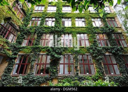 Sophie-Gips-Hoefe, yards, Mitte quarter, Berlin, Germany, Europe Stock ...