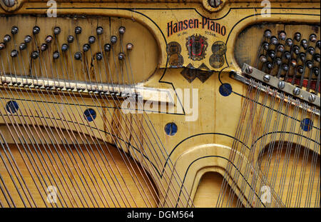 Discarded piano, interior view, PublicGround Stock Photo