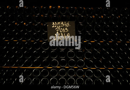 Champagne bottles with stock index card, wine cellar in limestone, Moet et Chandon winery, LVMH luxury goods group Stock Photo