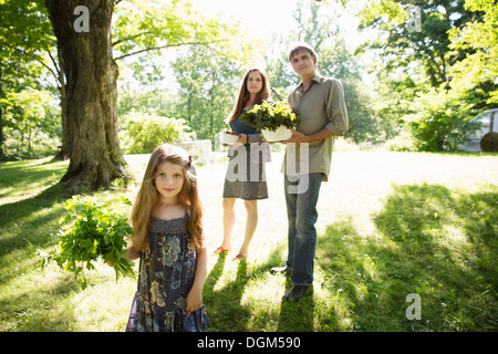 On the farm. Two adults carrying cartons of fresh vegetables and plants. A girl carrying bunches of fresh herbs. Stock Photo